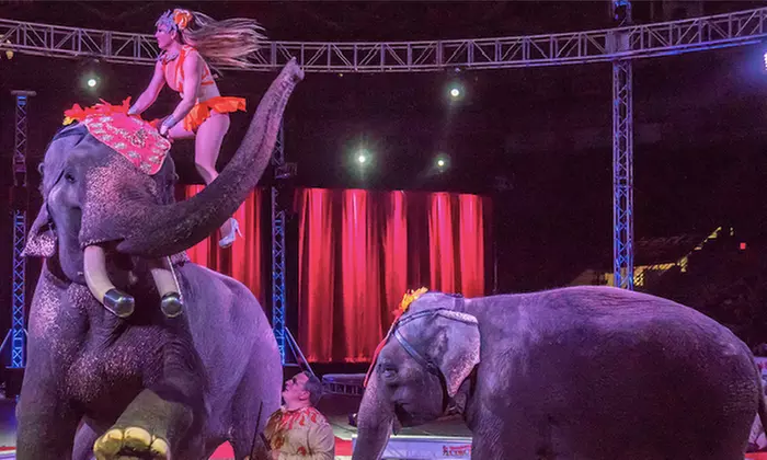 Garden Bros. Circus for Two Adults and Two Children on February 19 or 20 at 4:30 p.m. or 7:30 p.m.  - Primary Image