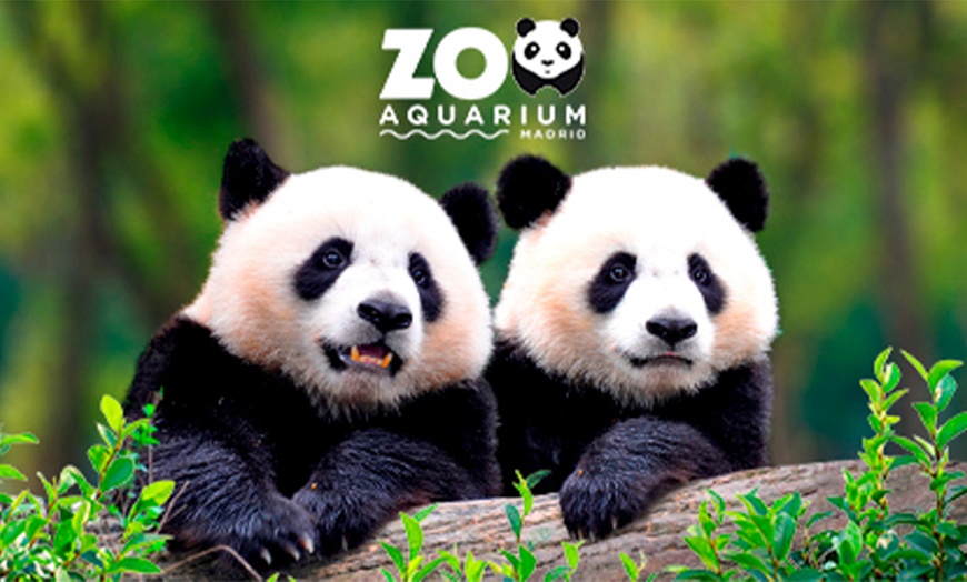 Image 1: ¡Oferta especial en el Zoo Aquarium de Madrid!