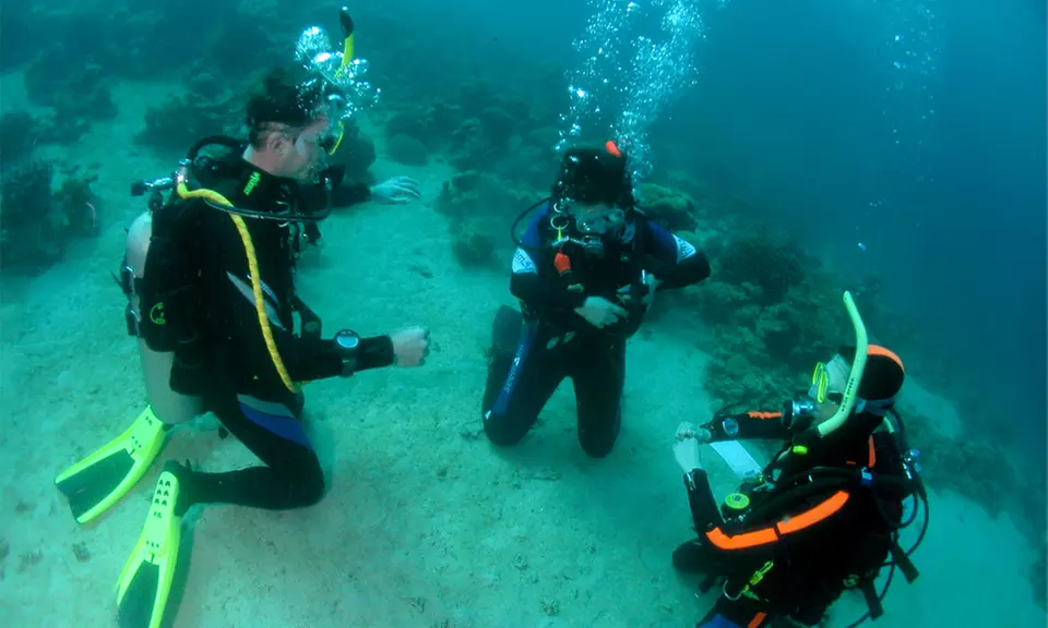 Wybrane kursy nurkowania z Best Divers