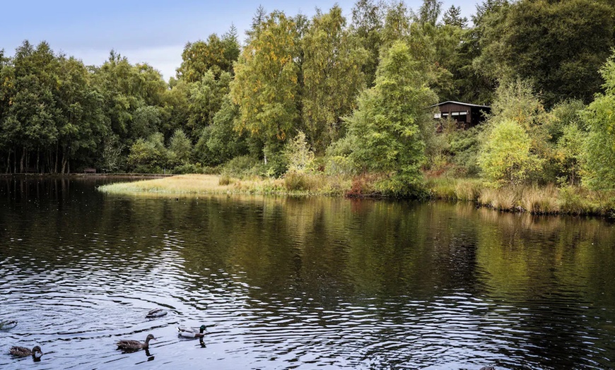Image 20: Carrbridge: Standard One or Two-Bedroom Cabin for Up to Four People