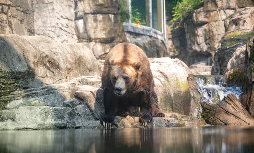 Image 2: Admission for One Child or Adult to Central Park Zoo