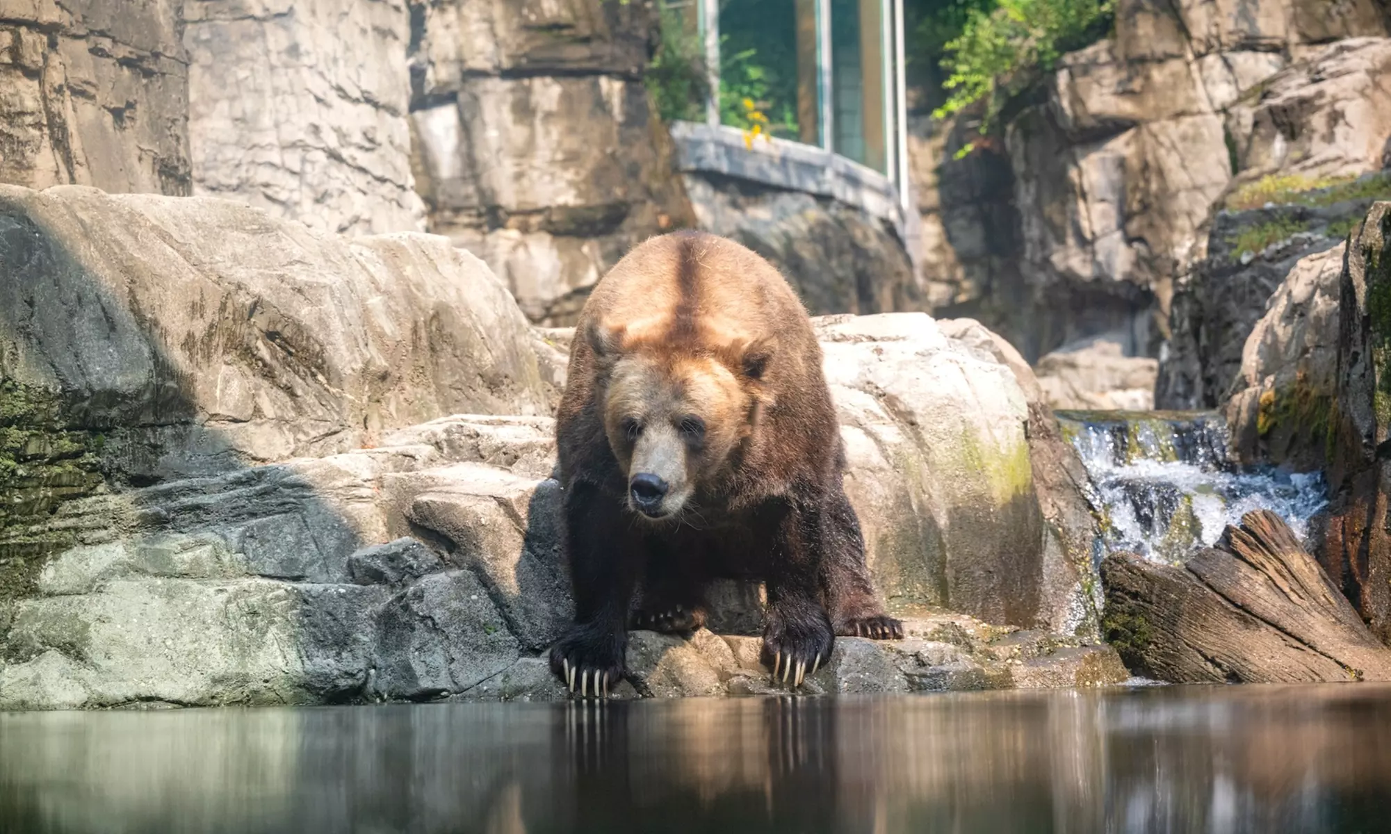 Admission for One Child or Adult to Central Park Zoo