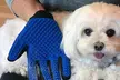1 ou 2 gants de toilettage pour animaux, livraison offerte - Image 2
