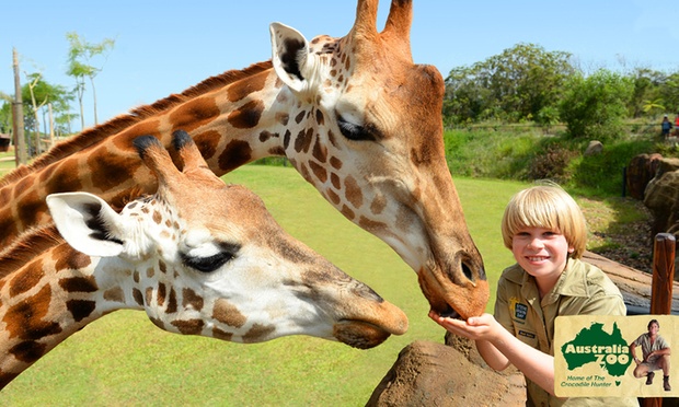 Steve Irwin's Australia Zoo