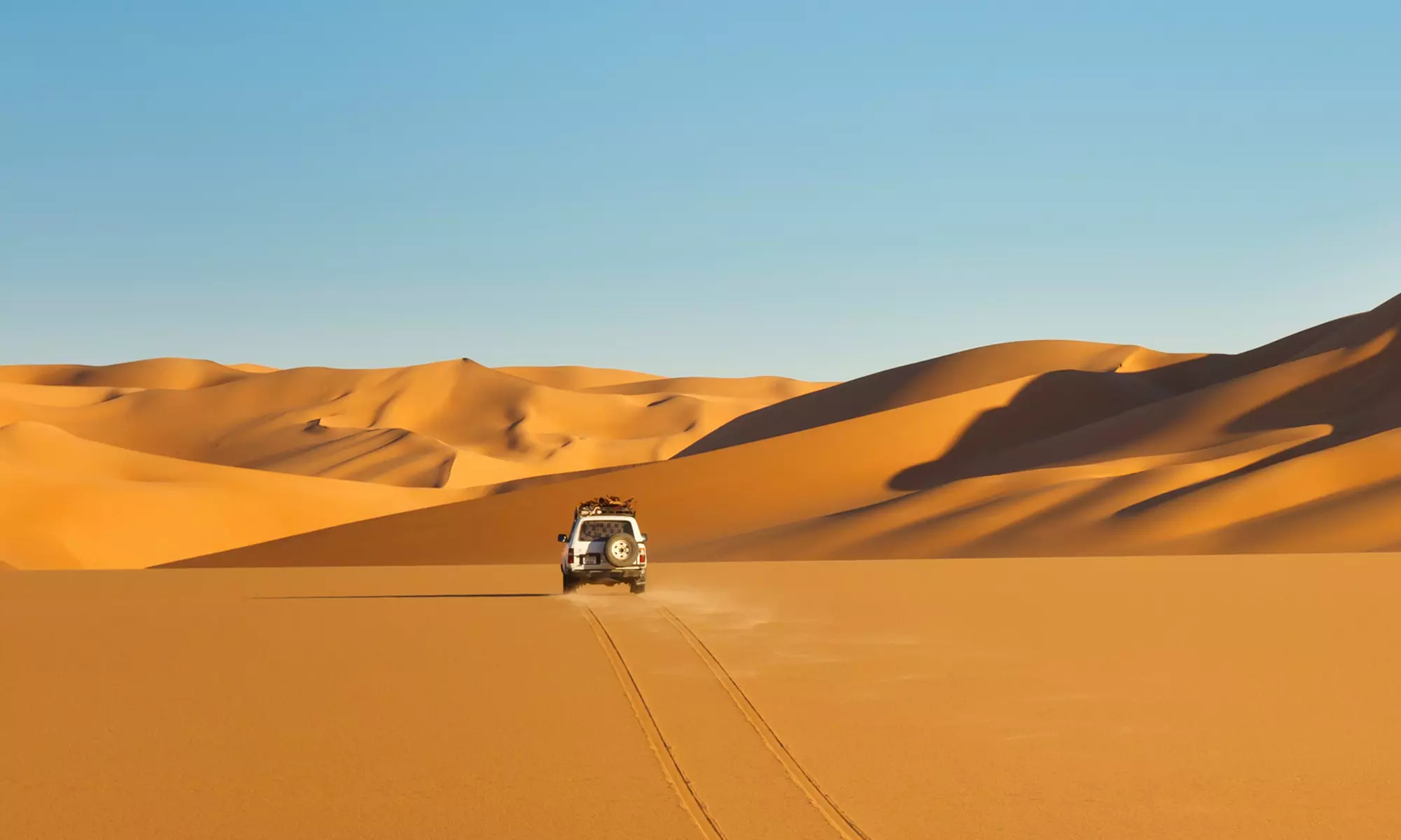 Unforgettable VIP Desert Safari Featuring Barbecue Dinner and Shows