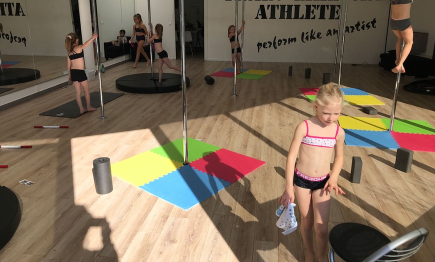 Image 18: Cours de pole dance, hamac, PSM, stretching ou bungeesfit