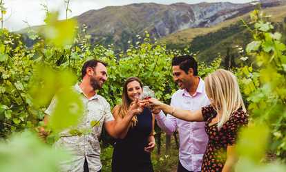 Guided Wine or Wine & Beer Tour