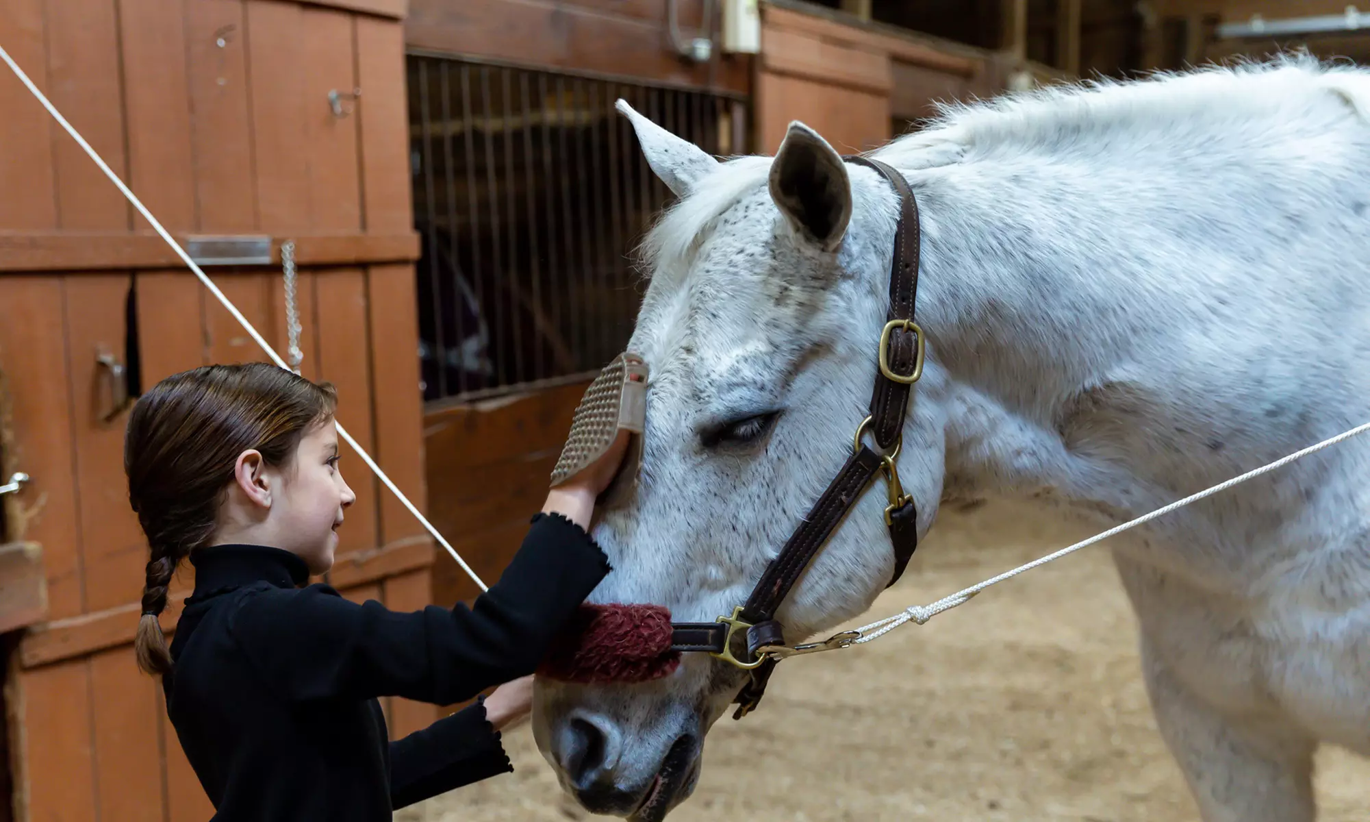 One or Five 30-Minute Private Horseback-Riding Lessons at Rocking Horse Farm (Up to 31% Off) - Second Medium