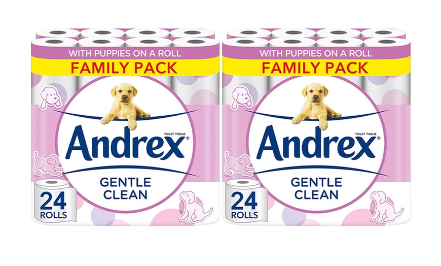 Image 3: Upto 72 Rolls of Andrex Fragrance-Free Toilet Rolls 