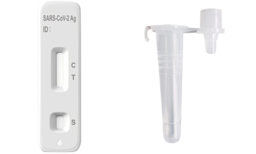 Image 3: Up to Five FlowFlex Rapid Lateral Flow Covid-19 Antigen Tests