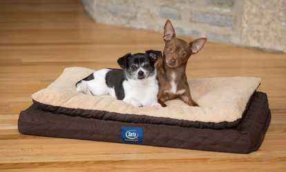 Serta Ortho Mattress Top Pet Bed