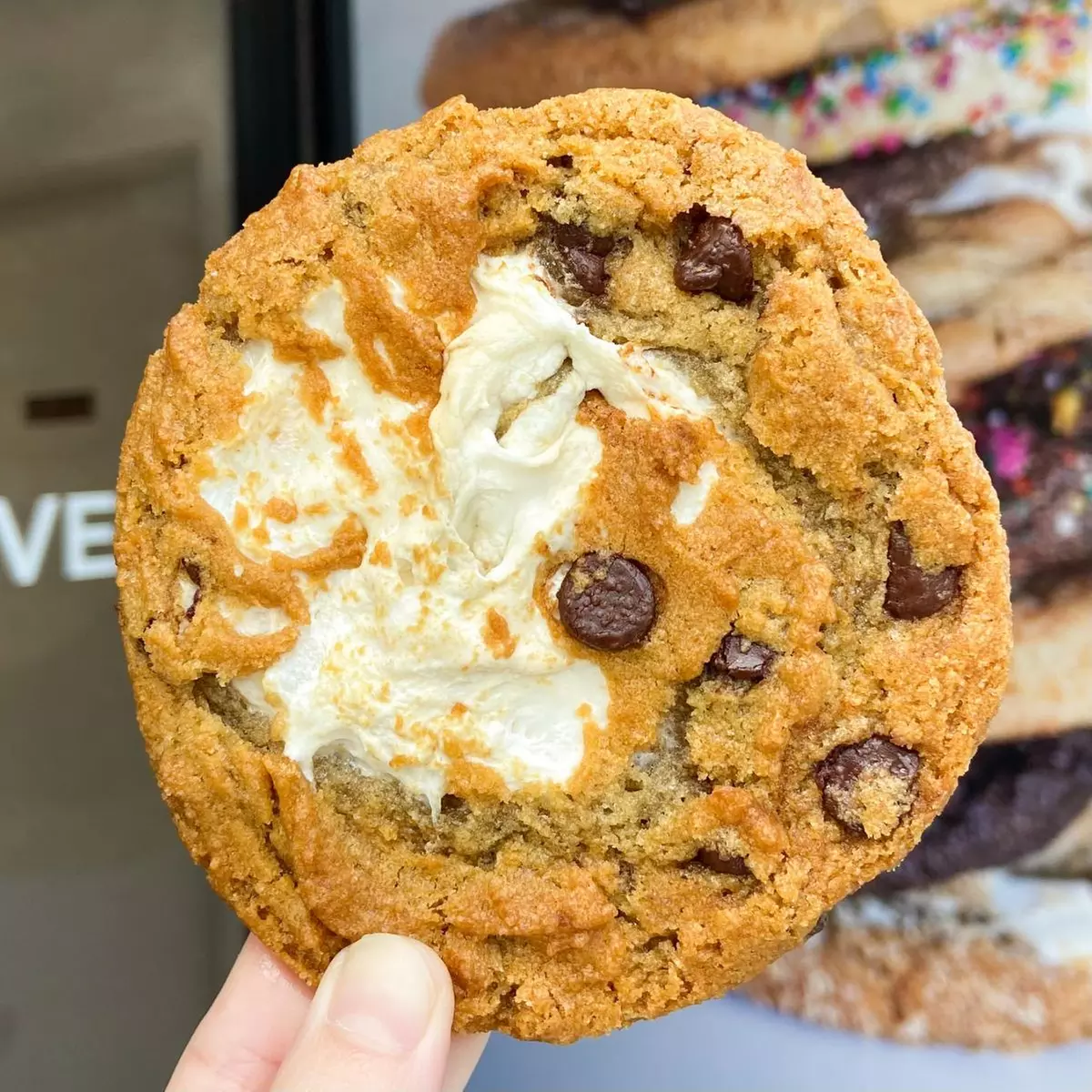 Experience Vegan Food Festival -  Express Tickets for 1, 2, or 3