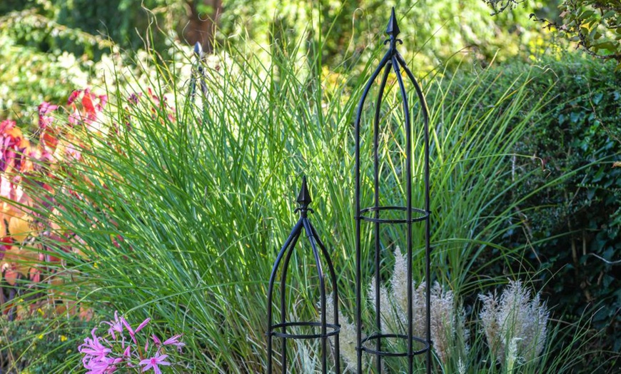 Image 5: Decorative Garden Trellis Plant Support Collections