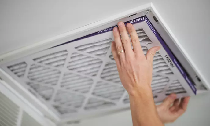 $6 for $20 Toward an Air-Filter-Delivery Subscription from Second Nature - Second Medium