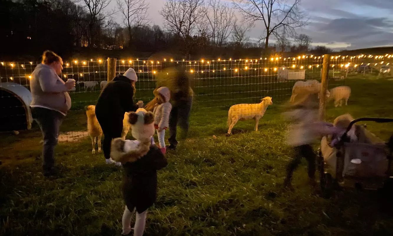 Join Farm Fun with Admission for One, Two, or Four People 