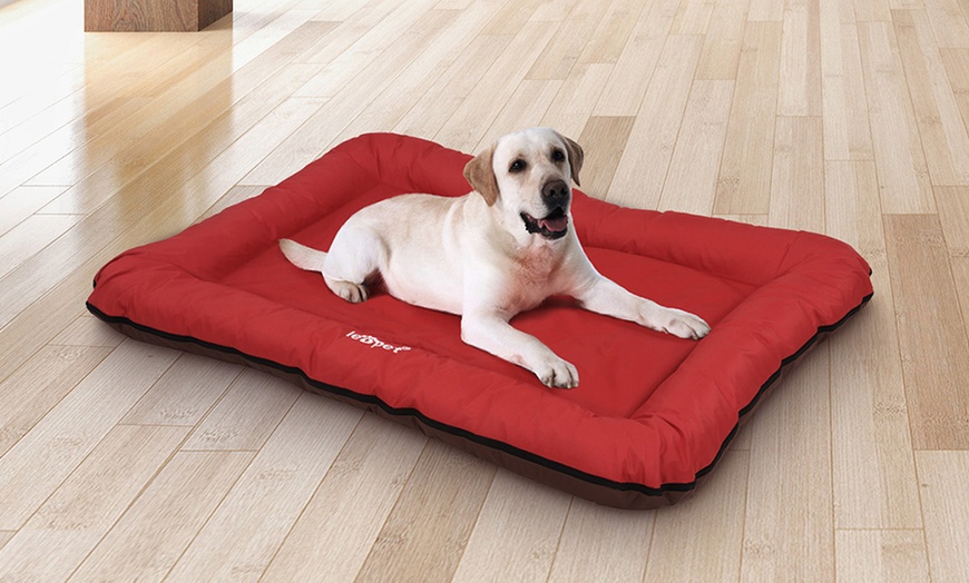 Image 18: Large Flat Dog Beds