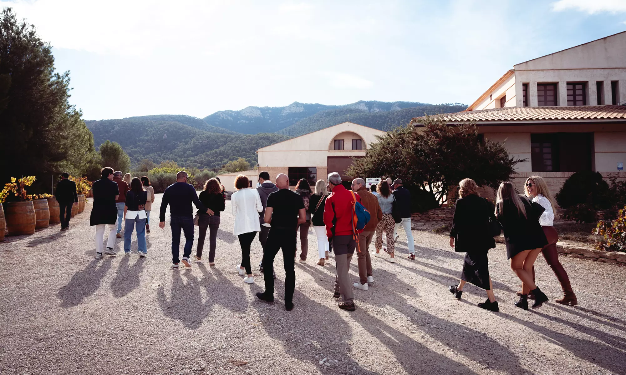 Experiencia de cata de vinos a elegir para 2 con picoteo y botella