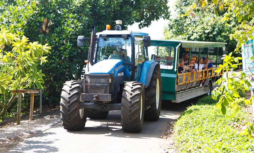 Image 17: Fruit Farm Entry