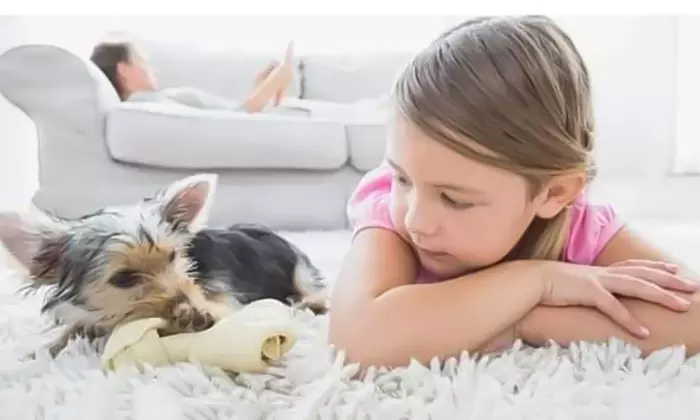 Carpet Cleaning for Up to Three Rooms Up to 200 Square Feet Each from Clear Vision Carpet Care - Primary Image