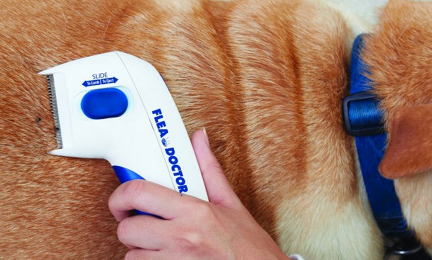 Image 2: Electric Flea Comb for Pets