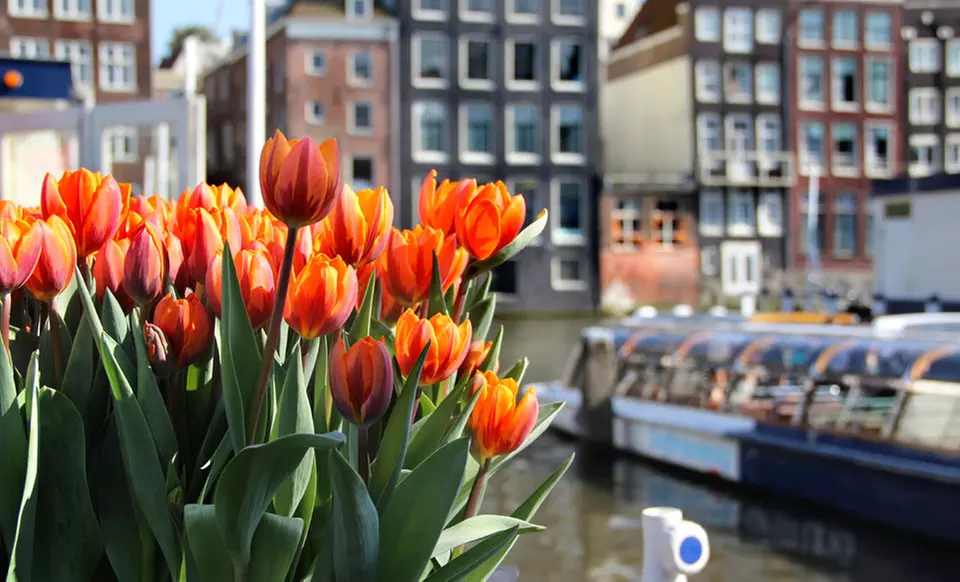 ✈ 7-Day Vacation in Amsterdam and Venice with Airfare from go-today; Price/Person Based on Double Occupancy - Second Medium