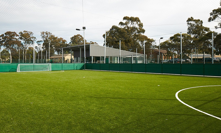 Image 2: FIFA Grade Soccer Pitch Hire 