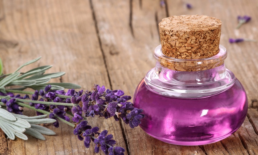 Image 6: Lavender Tree on Stem