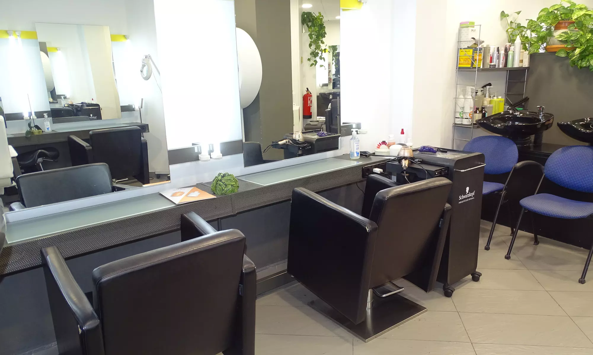 Tratamiento lifting capilar vegano con secado en Natural Perruqueries