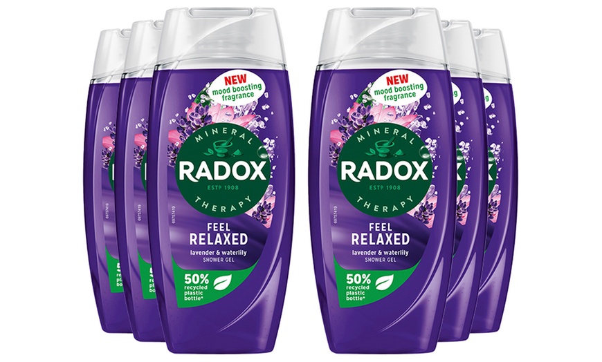 Image 13: Radox Mineral Therapy Shower Gel with Mood-Boosting Fragrance