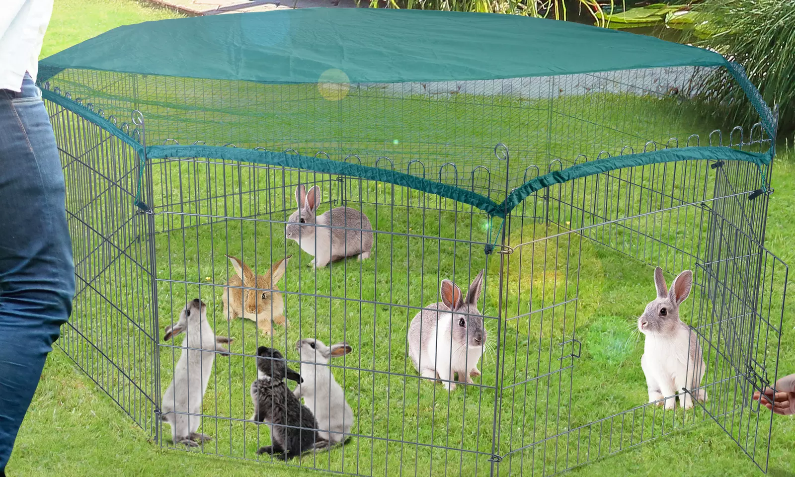 Enclos pour petits animaux avec porte et bâche incluse - Primary Image