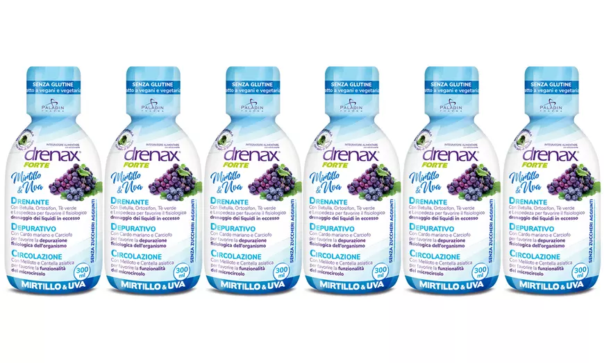 Image 12: 3, 4, 6 ou 9 flacons de compléments alimentaires "Drenax Forte" 300 ml