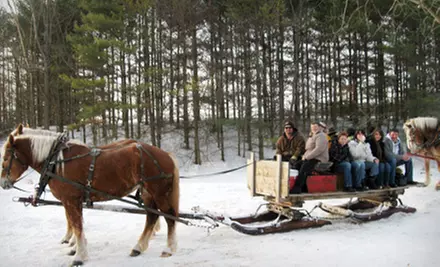 60-Minute Sleigh Ride with Mid-Ride Bonfire for Two or Four from Humes Horse and Carriage Rides (Up to 72% Off) - Primary Image