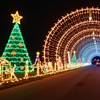 Image 1: Drive-Through Holiday Lights at Enchanted Light Festival 