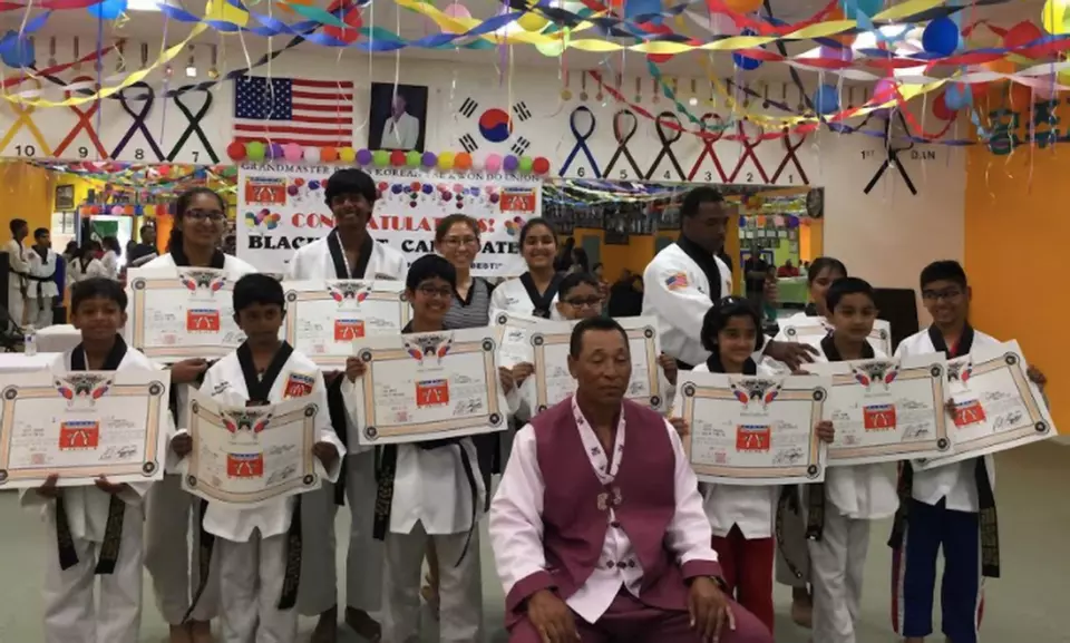 Online Tae Kwan Do Class for One or Two from Grand Master Park's Korean Tae Kwon Do (Up to 50% Off) - Second Medium