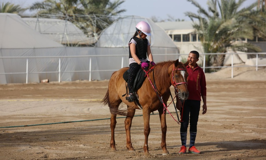 Image 3: Horse Riding Lesson