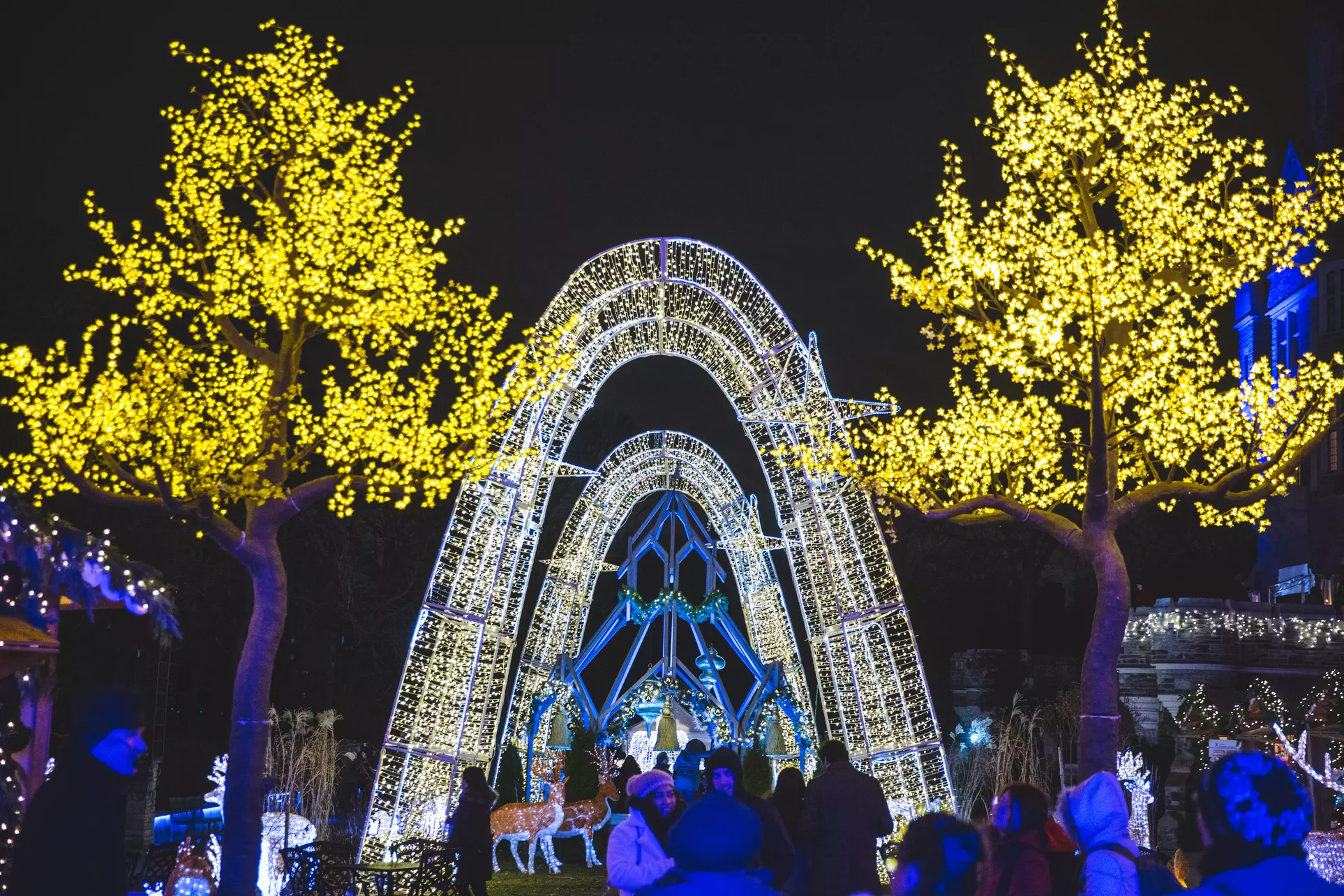 Holiday Lights Tour on December 20-24 at Casa Loma - Primary Image