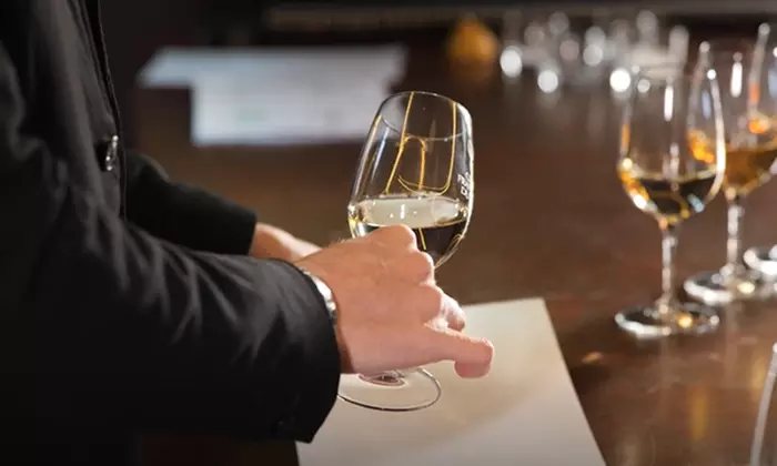 A la découverte des secrets du vin : ateliers ou cours d'œnologie