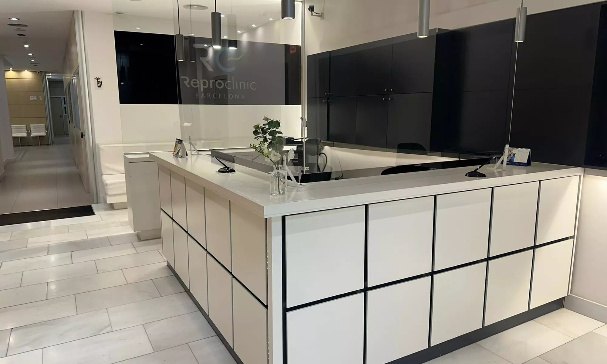 1, 2 o 4 sesiones de criolipólisis médica en zona a elegir