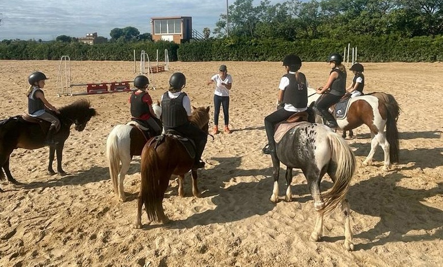 Image 8: ✦ 3 o 5 clases de hípica en La Finca Pony Club