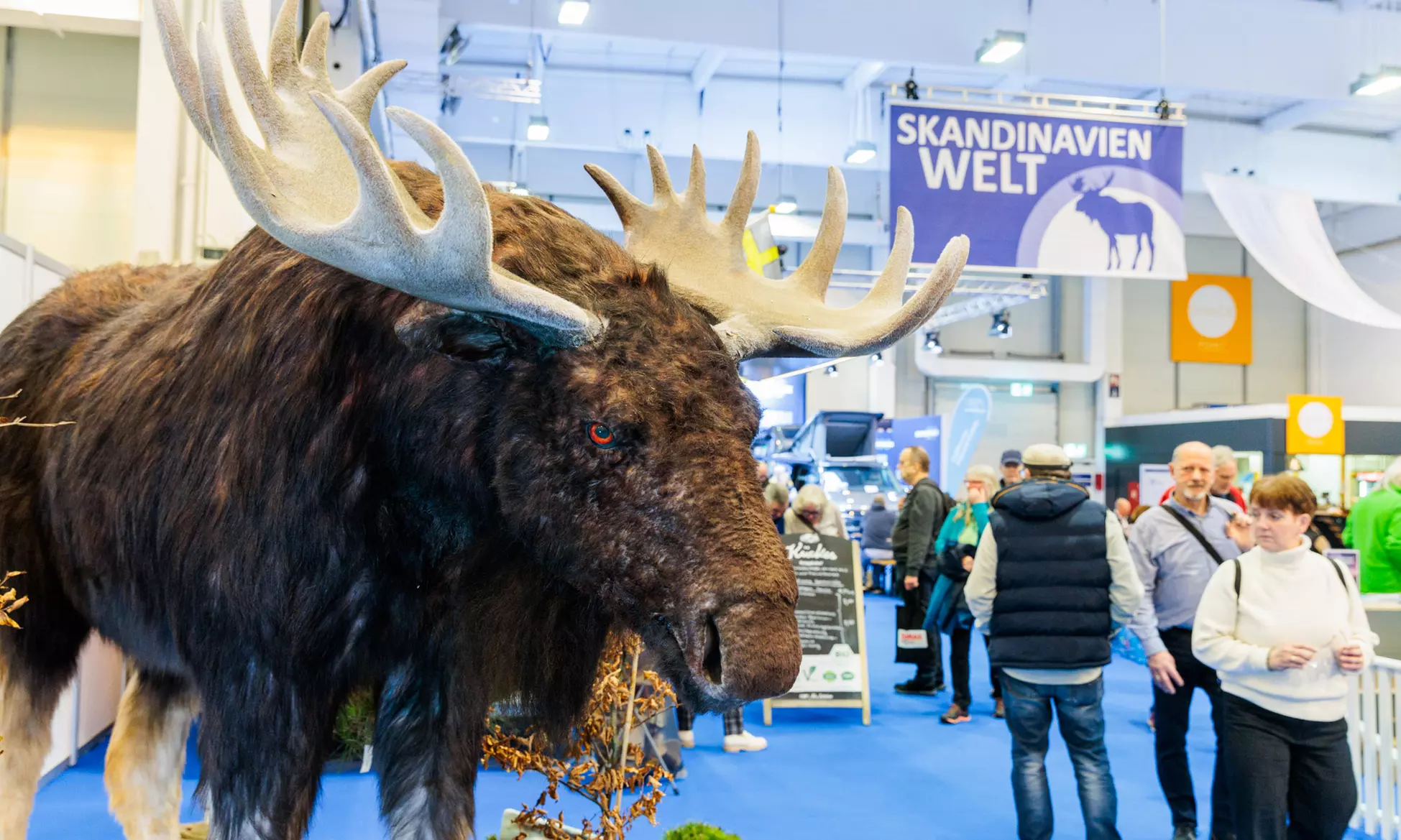 Urlaubsmesse „Reise + Camping“: 1 Tagesticket vom 25.02. bis 01.03.26