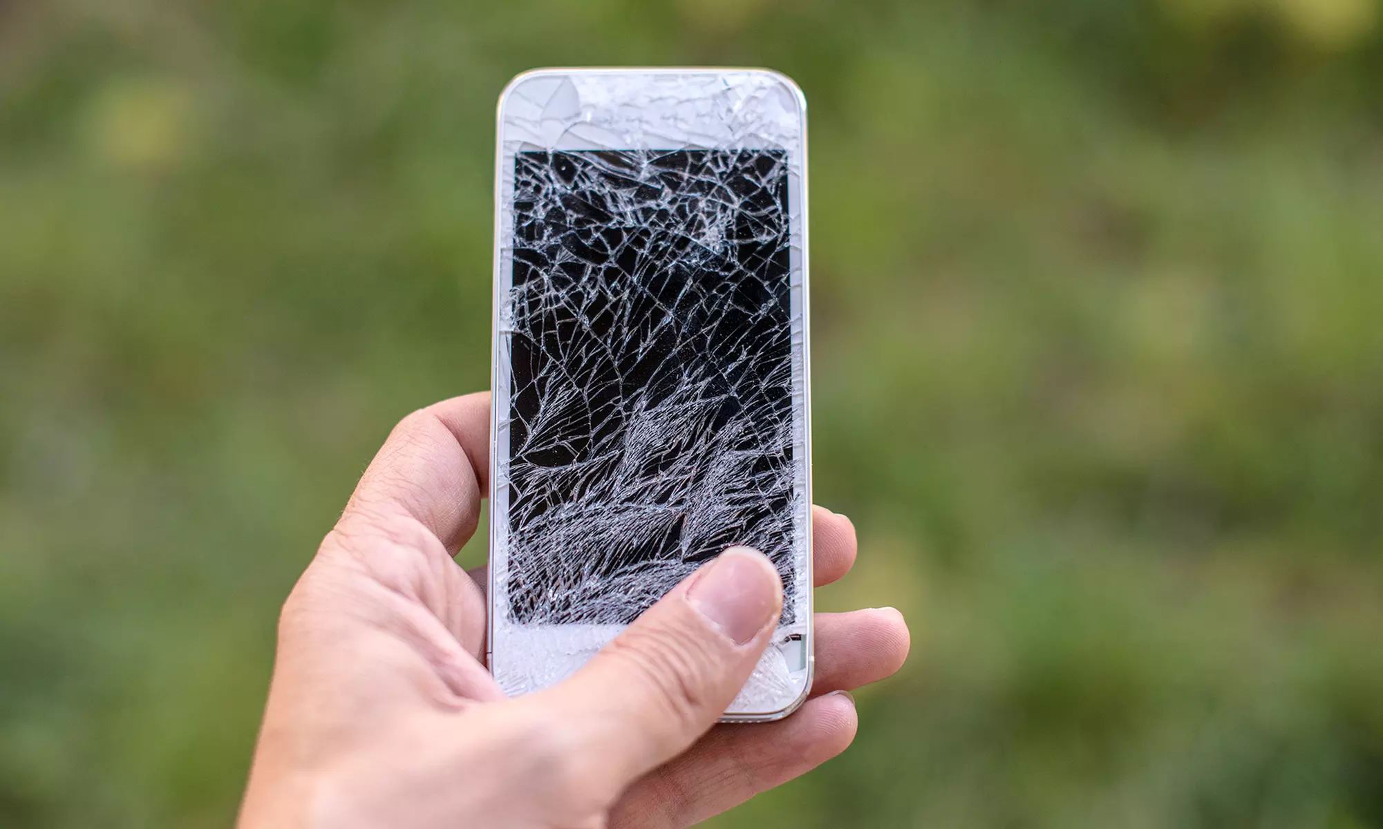 iPhone 5s/ 5c/ 5s, 6, 6+, 6s, 6s+, 7, 7+, or Ipad Mini Screen Repair at The Wireless Shop (Up to 35% Off) - Primary Image