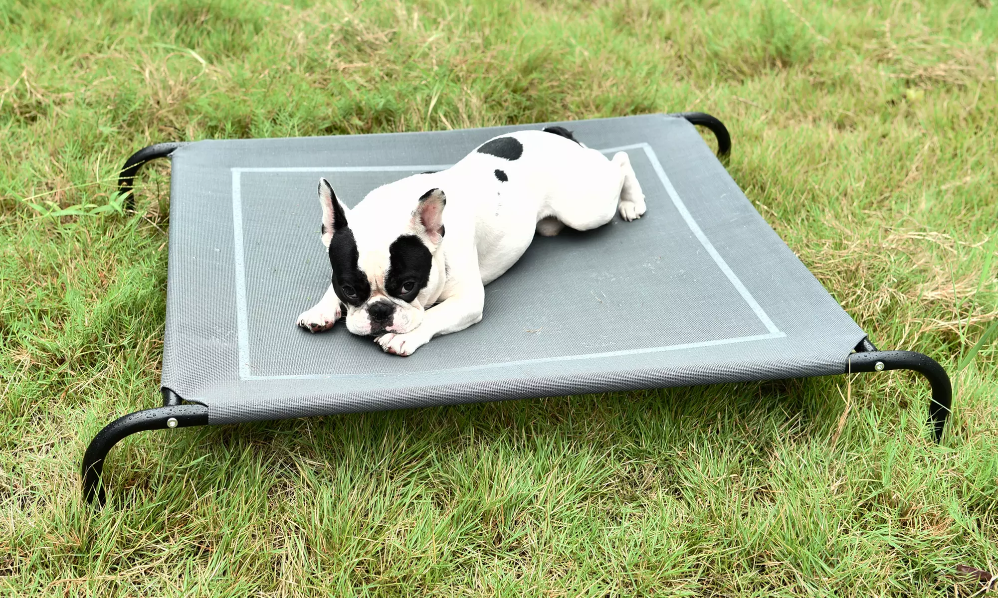 Maxi brandina relax per cani e gatti Datex, in tessuto Oxford di poliestere - Primary Image
