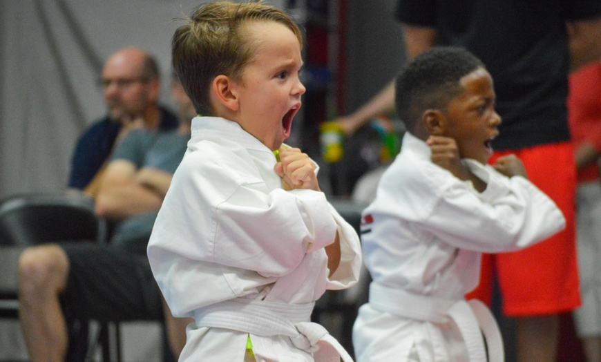 Virtual Classes - Championship Martial Arts | Groupon