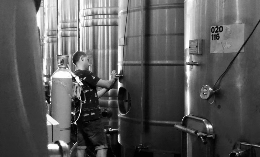 Image 4: Visite du domaine de Rombeau et découverte de vin 