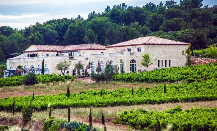 Image 2: Visite du domaine et initiation pour 2 pers. au Chateau De Valloubiere