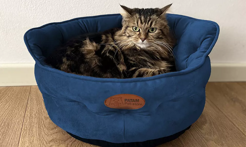 Cucce, lettini e divanetti per cani e gatti in vari modelli e misure