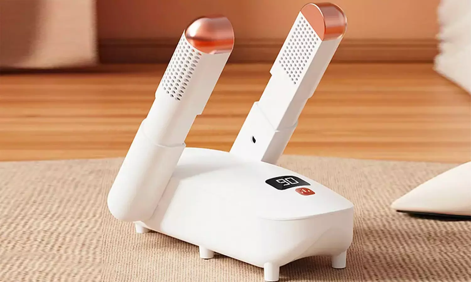 Séchoir à chaussures électrique 300 W - Primary Image