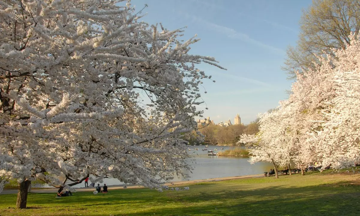 Explore Central Park Tour
