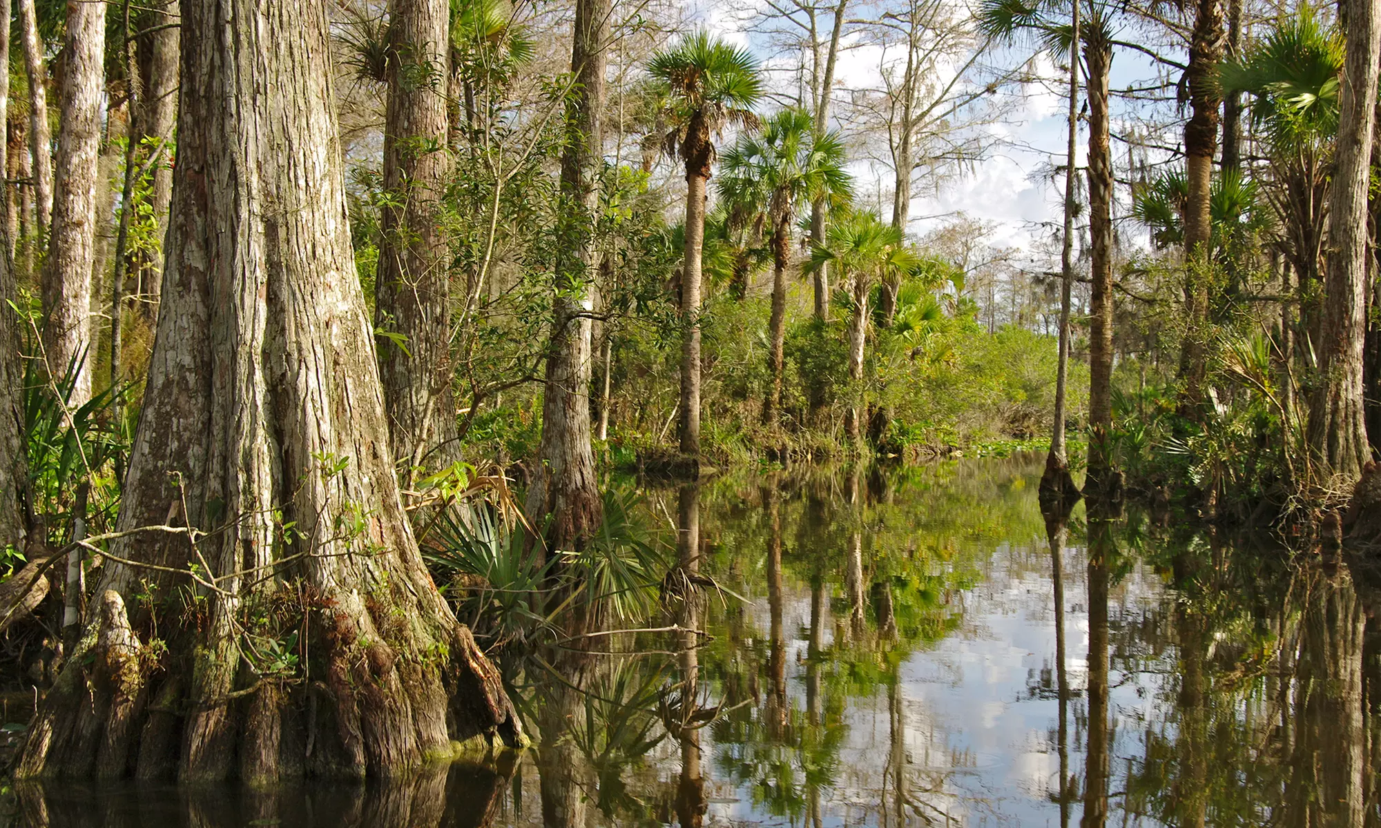 90-Minute Airboat Ride for Two, Four, or Six People from Florida Love Airboat Tours (Up to 22% Off) - Second Medium
