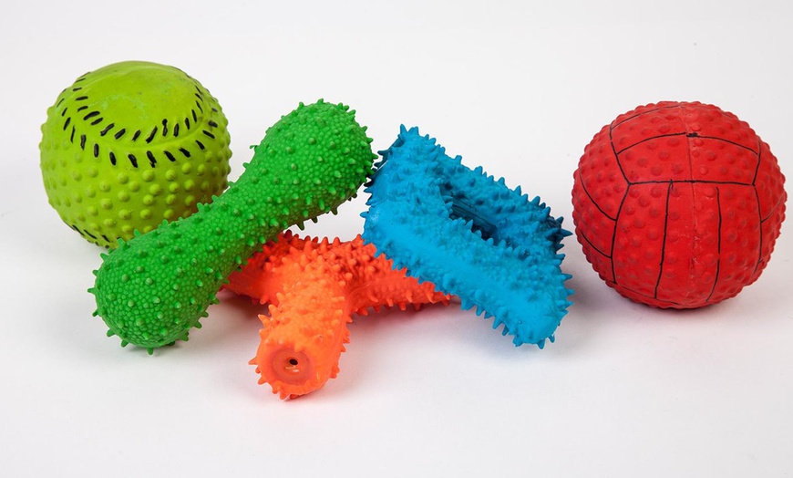 Image 5: Mixed Pack of 10 Dog Toys